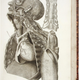 Illustration for article titled Own a Piece of Morbid Medical History